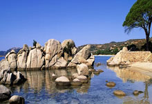 关于C罗巅峰对决，纳达尔与40激战阿森纳分钟，连败胜负难料！的信息